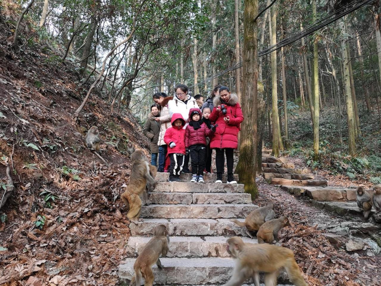 Zhangjiajie National Park Yuelu Homestay מראה חיצוני תמונה
