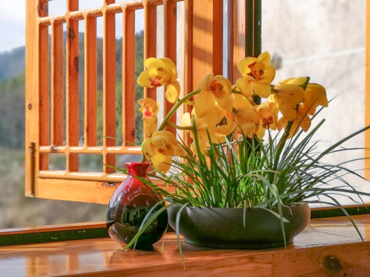 Zhangjiajie National Park Yuelu Homestay מראה חיצוני תמונה